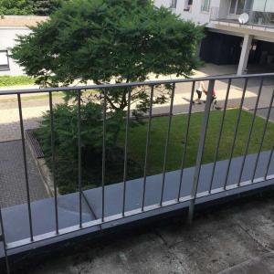Kompletna Rekonstrukcia Terasy S Pristreskom Na Hrachovej Ulici V Bratislave Img 6839